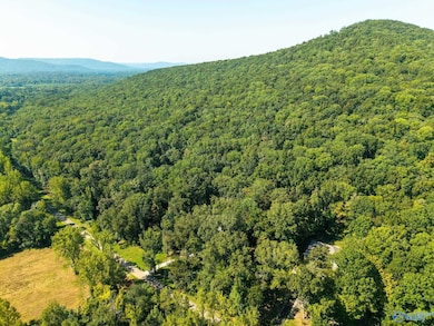 6.5 Acres Rock Spring Rd, Owens Cross Roads, AL 35763 - photo 5