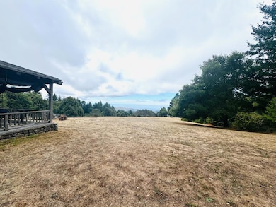 1411 Native Sons Rd, Redwood City, CA 94062 - photo 3