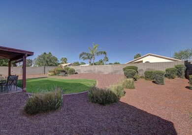 129-Backyard_1