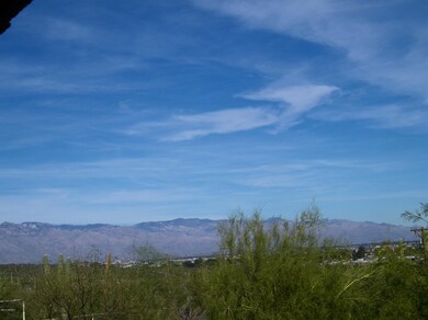View from Patio