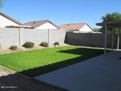 Back Yard 2