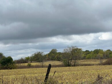 5153 NE 1004 Rd, Butler, MO 64730 - photo 5