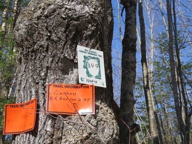 0 Height of Land Rd, Grafton, NH 03240 - photo 6