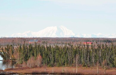 Denali View