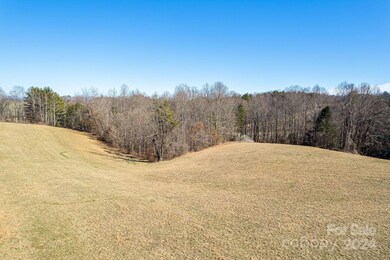 99999 Old Farmstead Trail, Leicester, NC 28748 - photo 6