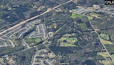 11437 Broad River, Chapin, SC 29036 - photo 4