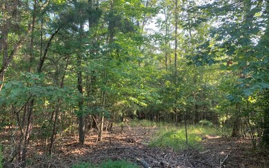 Additional View