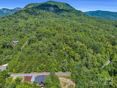 0 Holmstead Dr unit Lot 31 CAR4203501, Lake Lure, NC 28746 - photo 5