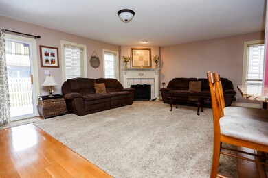 Living with wood burning fireplace