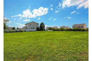 Yard/Garden.