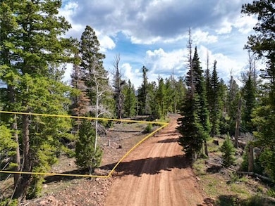 DJI_0556