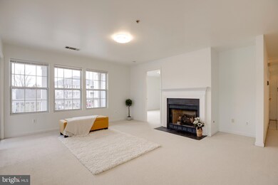 14184 Cuddy Loop unit 204, Woodbridge, VA 22193 - photo 3