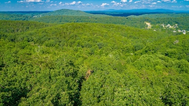 0 Clearview Dr unit RTC2683557, Ringgold, GA 30736 - photo 6