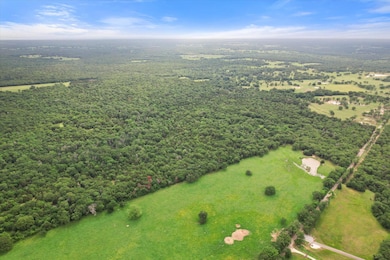 View of bird's eye view