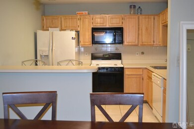 249 Vasser Dr, Piscataway, NJ 08854 - photo 6