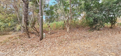 6026 Colonial Dr, Raleigh, NC 27603 - photo 7