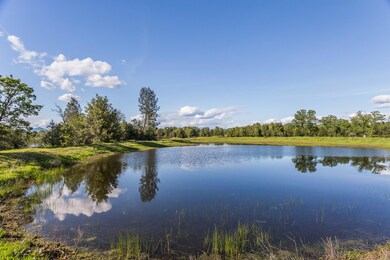 IMG_7893