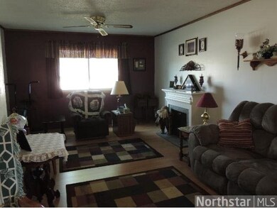 729 Railroad Ave, Sauk Centre, MN 56378 - photo 5