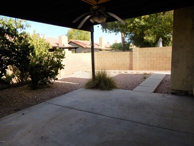 023-228720 - Backyard 5