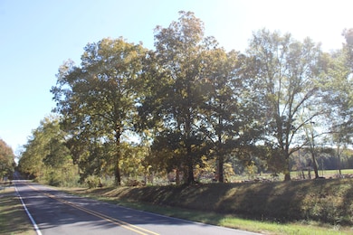 14901 Desoto Rd, Mineral Wells, MS 38654 - photo 6