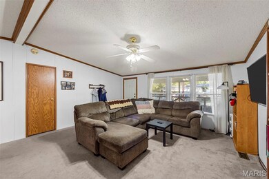 6012 Isaac Way, Cedar Hill, MO 63016 - photo 6