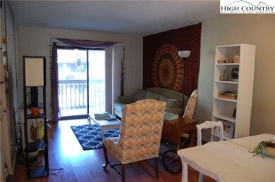 475 Meadowview Dr unit B301, Boone, NC 28607 - photo 5