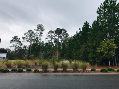 1261 Cross Water Cir, Leland, NC 28451 - photo 6