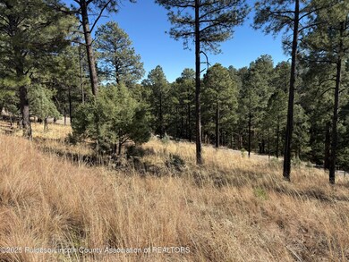 Lot 6 El Camino Dr, Alto, NM 88312 - photo 2