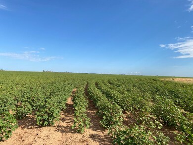 4100 S Fm 168, Ropesville, TX 79358 - photo 2