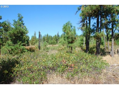 0 Pine Creek Rd unit 3 12336471, Bickleton, WA 99322 - photo 2