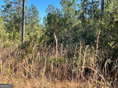 0 Landing Trail, Waynesville, GA 31566 - photo 4