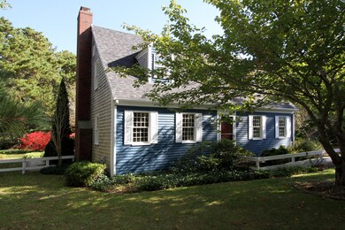 Front left yard