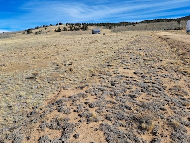 513 Night Hawk Cir, Como, CO 80432 - photo 5