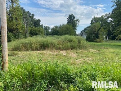 802 Joplin St, Benton, IL 62812 - photo 4