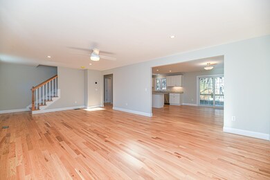 Hardwood sparkles