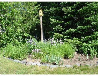 Yard/Garden.