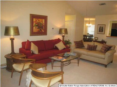 HUGE LIVING ROOM WITH CATHEDRAL CEILING , CEILING 
