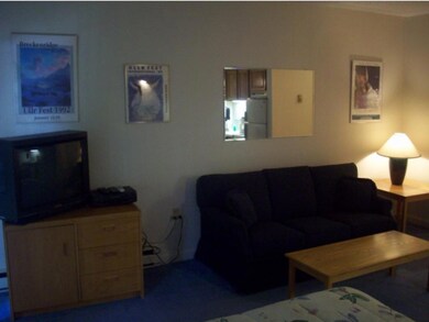 C11336 Lodge Rd unit C113, Lincoln, NH 03251 - photo 5