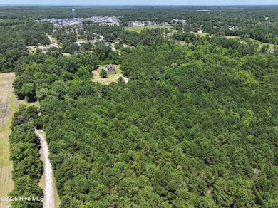 141.83 Acres Watts Landing Rd, Hampstead, NC 28443 - photo 4