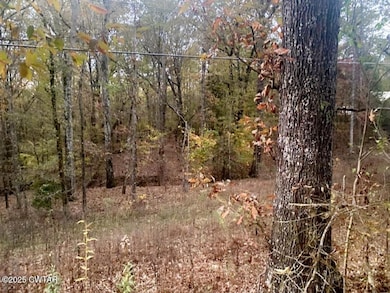 0 Natchez Trace Dr, Lexington, TN 38351 - photo 4