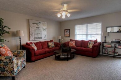 View from the kitchen-- note the brand new & neutral carpet and paint