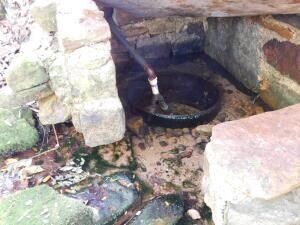 DSCN7351 spring