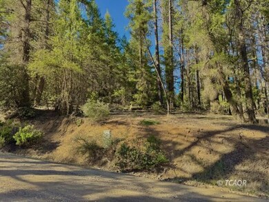 920 Chrome Mine, Hayfork, CA 96041 - photo 4