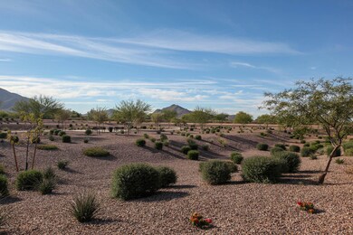 Mountain View-1