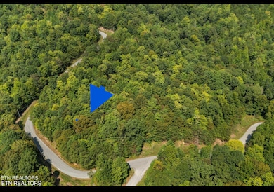 Lot 143 Whistle Valley Rd, New Tazewell, TN 37825 - photo 3