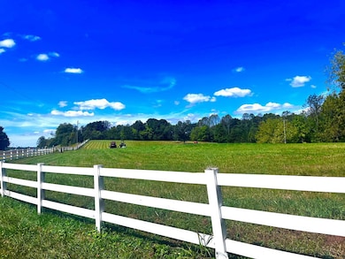 TBD Jeb Stuart Hwy, Stuart, VA 24171 - photo 6