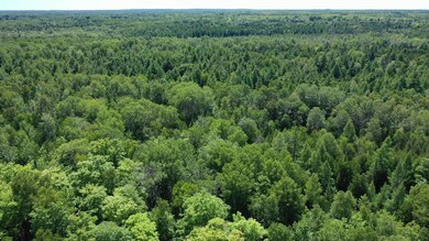 0 King's Hwy unit 201822046, Beaver Island, MI 49782 - photo 4