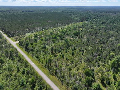 V L 10a 72nd St, Idlewild, MI 49642 - photo 2