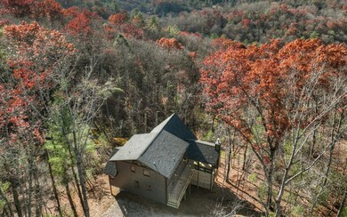 Additional View