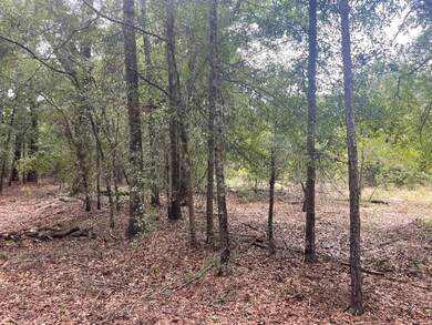 TBD Rivers Hill Rd unit A4, Varnville, SC 29944 - photo 7